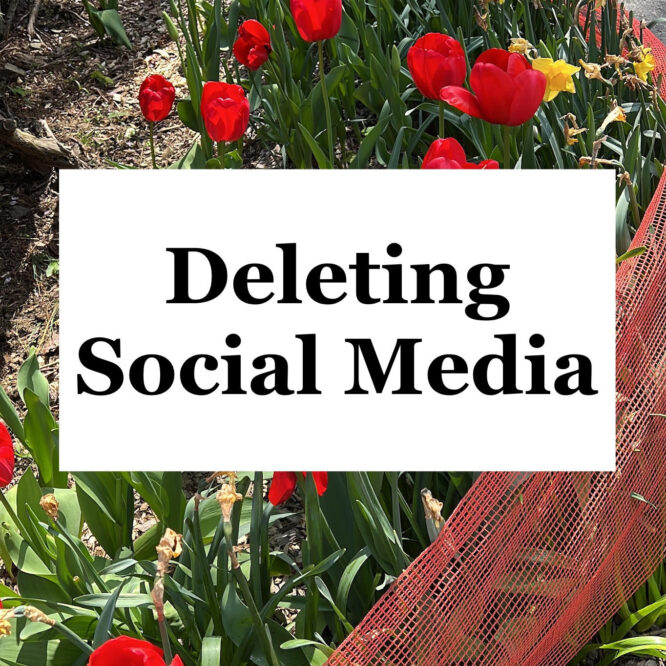 nature red flowers deleting social media